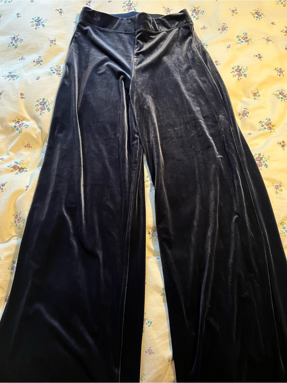 Max Studio Black Velvet Wide-Leg Pants
